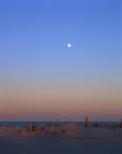 Moonrise, Island Beach State Park, Ocean County, NJ (MF).jpg